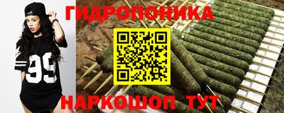 кокс Кунгур