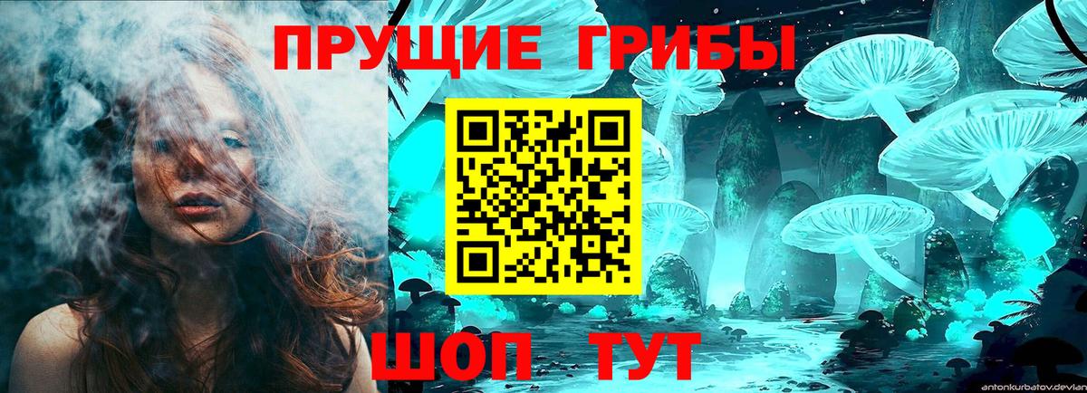 сколько стоит  Вход с VPN  Зеленогорск  Псилоцибиновые грибы Psilocybe 