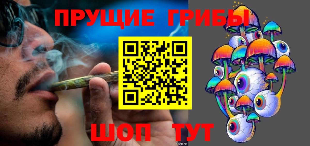 Галлюциногенные грибы Psilocybine cubensis Зеленогорск